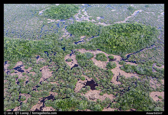 Aerial view of marsh with red color from mangroves. Everglades National Park (color)