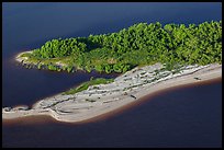 Aerial view of beach with alligators. Everglades National Park ( color)