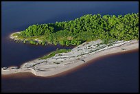 Aerial view of beach with alligators. Everglades National Park, Florida, USA. (color)