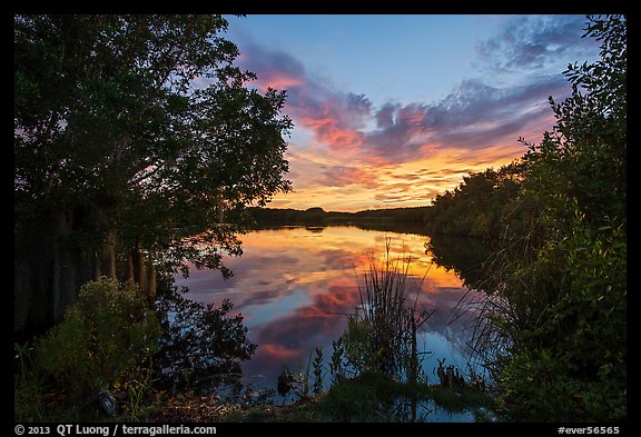 Paurotis Pond at sunset. Everglades National Park, Florida, USA.