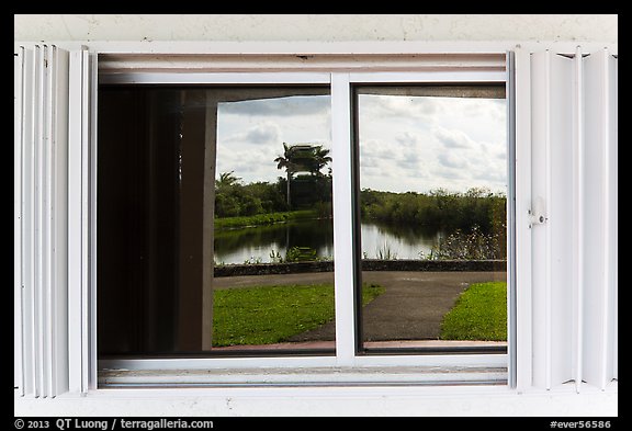 Slough, Royal Palms Visitor Center window reflexion. Everglades National Park (color)