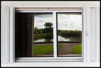 Slough, Royal Palms Visitor Center window reflexion. Everglades National Park ( color)