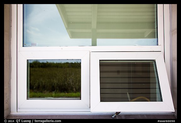 Prairie and hammock, Shark Valley visitor center window reflexion. Everglades National Park (color)