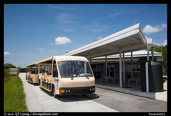 Tram and visitor center, Shark Valley. Everglades National Park (color)