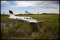 Crashed plane in marsh, Shark Valley. Everglades National Park ( color)