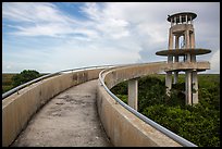Shark Valley observation tower. Everglades National Park ( color)