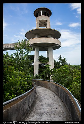 Observation tower, Shark Valley. Everglades National Park (color)