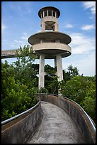 Observation tower, Shark Valley. Everglades National Park ( color)