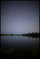 Starry night, Pines Glades Lake. Everglades National Park ( color)