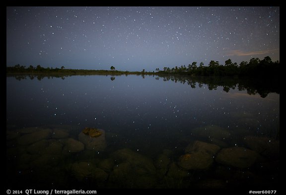 Stars and reflections in Pines Glades Lake. Everglades National Park, Florida, USA.