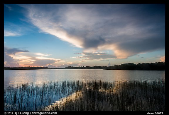 Nine-Mile Pond at sunrise. Everglades National Park (color)