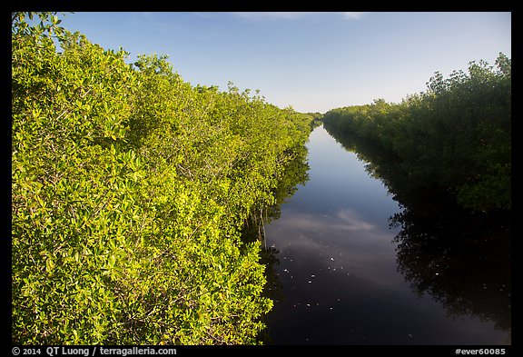 Buttonwood Canal. Everglades National Park (color)