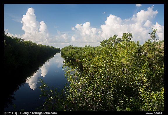 Buttonwood Canal and clouds. Everglades National Park (color)