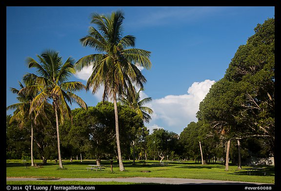 Flamingo Campground. Everglades National Park (color)