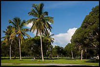 Flamingo Campground. Everglades National Park ( color)