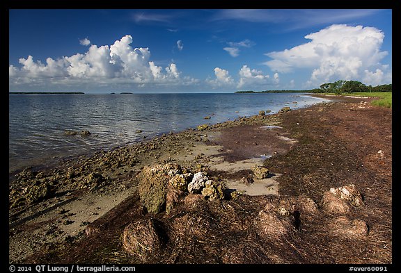 Florida Bay shores. Everglades National Park (color)