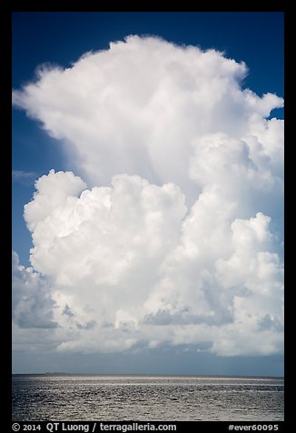 Summer clouds above waters, Florida Bay. Everglades National Park (color)