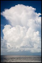 Summer clouds above waters, Florida Bay. Everglades National Park ( color)