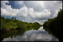 Buttonwood Canal and rain clouds. Everglades National Park ( color)