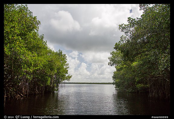 Coot Bay framed by mangroves. Everglades National Park (color)