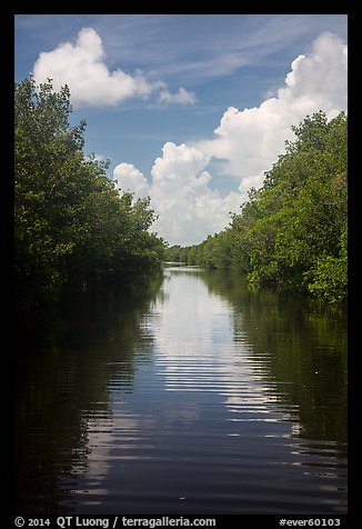 Canal, clouds, and reflections. Everglades National Park (color)