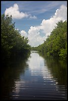 Canal, clouds, and reflections. Everglades National Park ( color)