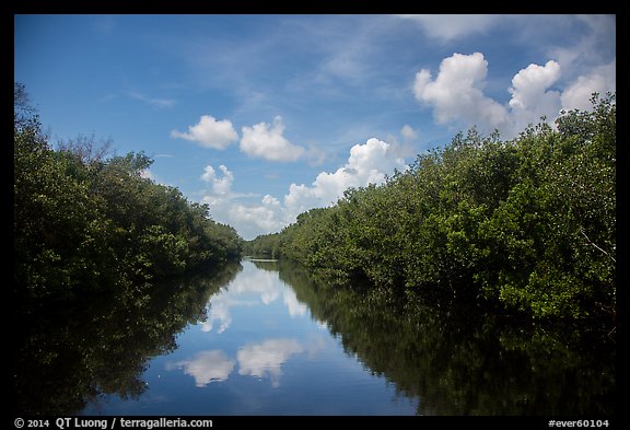 Water-level view of Buttonwood Canal. Everglades National Park (color)