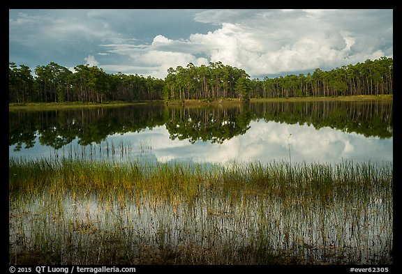 Lake, Long Pine Key. Everglades National Park (color)