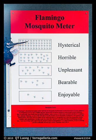 Flamingo Mosquito Meter. Everglades National Park (color)