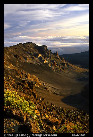 Crater rim and clouds  at sunrise. Haleakala National Park (color)