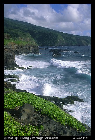 Seascape with waves and coastline, and cliffs,  Kipahulu. Haleakala National Park, Hawaii, USA.