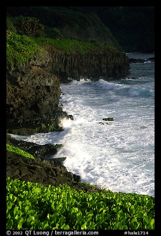 Waves and cliffs at Kipahulu, morning. Haleakala National Park (color)