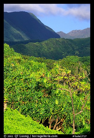 Kipahulu mountains. Haleakala National Park, Hawaii, USA.