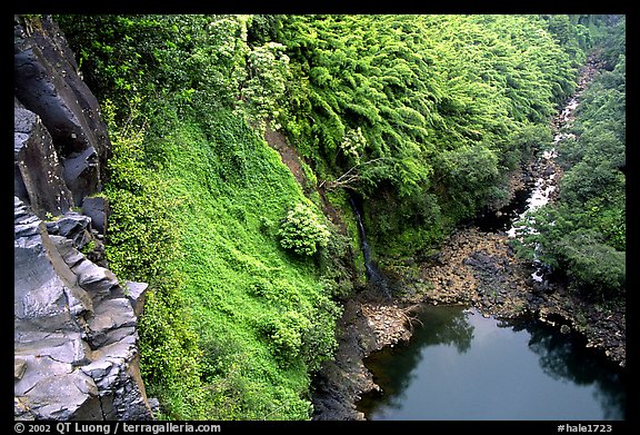 Gorge from the brink of Makahiku falls. Haleakala National Park