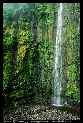 Waimoku Falls, more than 300 feet high. Haleakala National Park, Hawaii, USA.