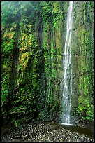 Waimoku Falls, more than 300 feet high. Haleakala National Park, Hawaii, USA. (color)