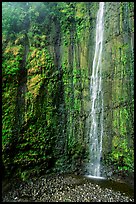 Waimoku Falls, more than 300 feet high. Haleakala National Park ( color)