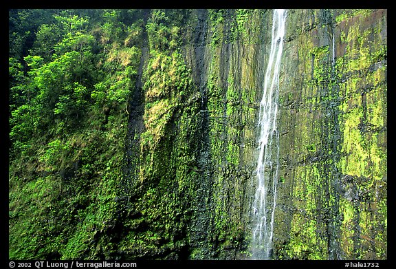 Waimoku Falls, more than 300 feet high. Haleakala National Park (color)