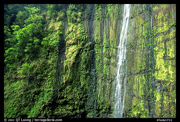 Waimoku Falls, more than 300 feet high. Haleakala National Park, Hawaii, USA.