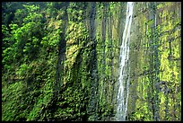 Waimoku Falls, more than 300 feet high. Haleakala National Park, Hawaii, USA.