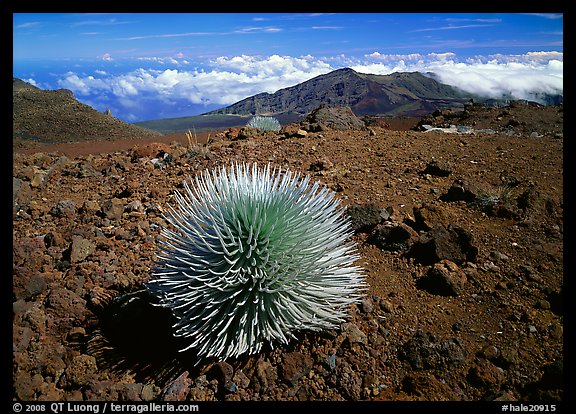 Clouds and Haleakala crater. Haleakala National Park (color)