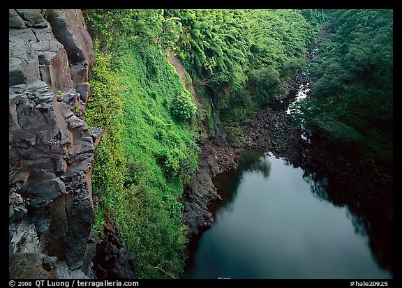 Gorge from the brink of Makahiku falls. Haleakala National Park, Hawaii, USA.