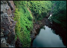 Gorge from the brink of Makahiku falls. Haleakala National Park, Hawaii, USA.