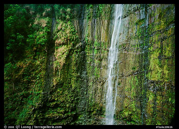 Waimoku Falls, more than 300 feet high. Haleakala National Park, Hawaii, USA.