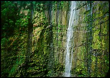 Waimoku Falls, more than 300 feet high. Haleakala National Park ( color)