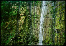 Waimoku Falls, more than 300 feet high. Haleakala National Park, Hawaii, USA.