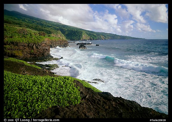 Coast at Kipahulu, morning. Haleakala National Park (color)