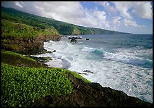 Coast at Kipahulu, morning. Haleakala National Park ( color)