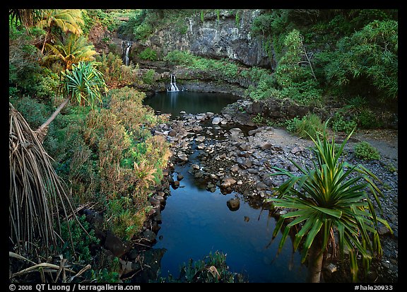 Oho o Stream, sunrise. Haleakala National Park, Hawaii, USA.