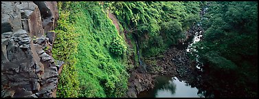 Cliffs with tropical vegetation. Haleakala National Park (Panoramic color)